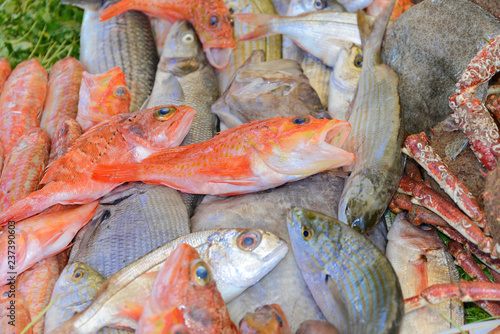 Meeresfrüchte, Fische, Fischrestaurant, Hafen, Essaouira, Marokko, Nordafrika, Afrika