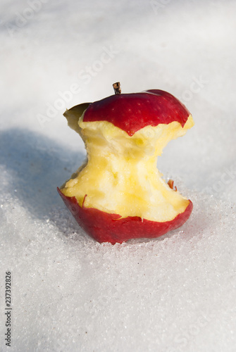 A core of a red apple on the snow photo