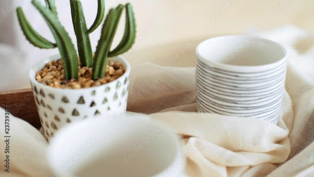 A small cactus in a white pot. A small cactus in a white pot.