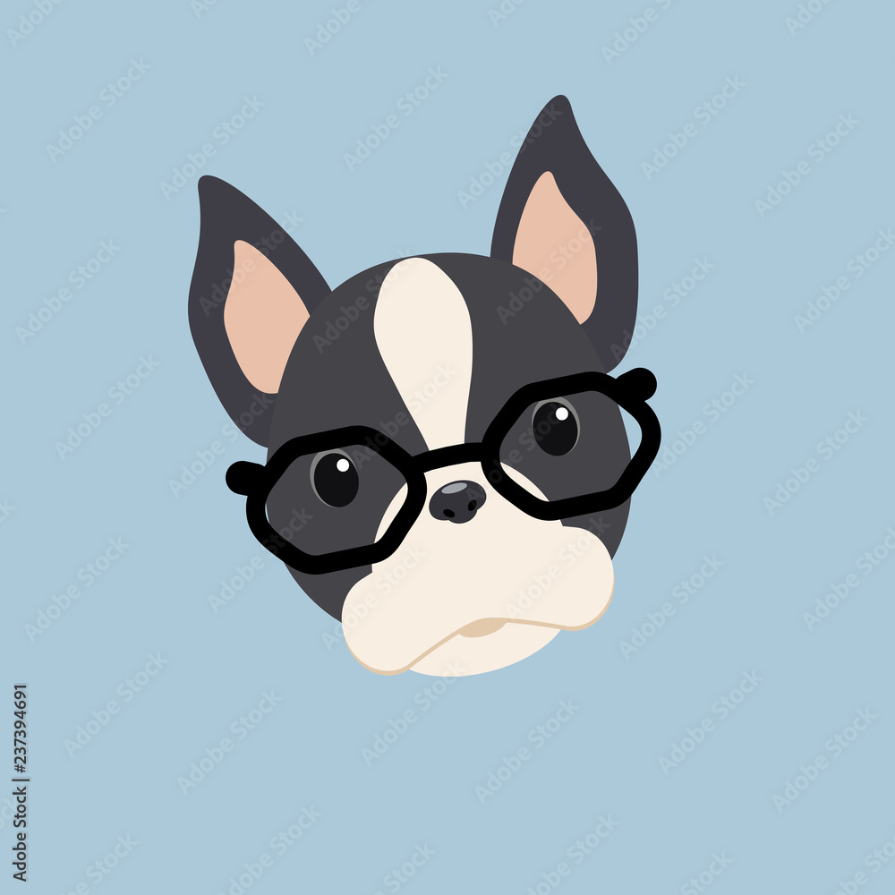 Fototapeta premium Vector dog breed Boston Terrier with glasses