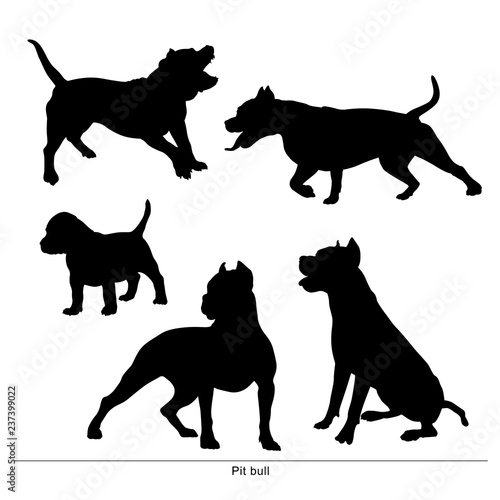 Pit Bull breed dog. Vector silhouette of the dog