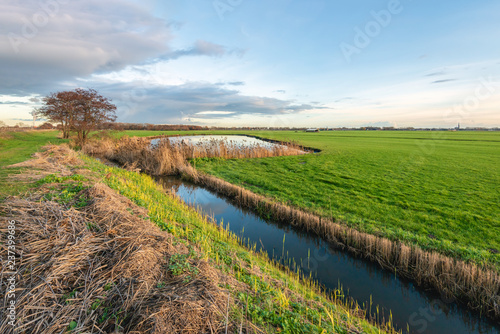 Recently cleaned ditch in a Dutch polder