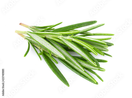 Rosemary isolated on white background