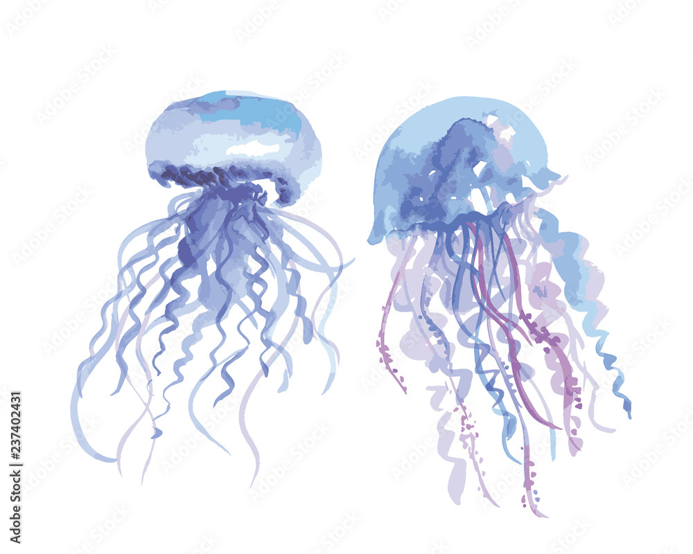 isolated blue jellyfish watercolor illustration isolated blue jellyfish watercolor illustration