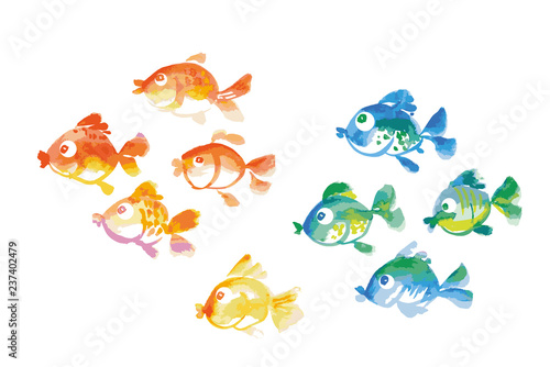 cute tropical fish watercolor hand drawn illustration.