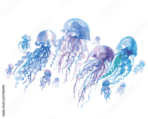 isolated jellyfish groop watercolor illustration photo