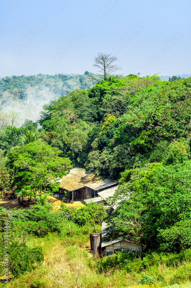 Tropische Landschaft in Indien