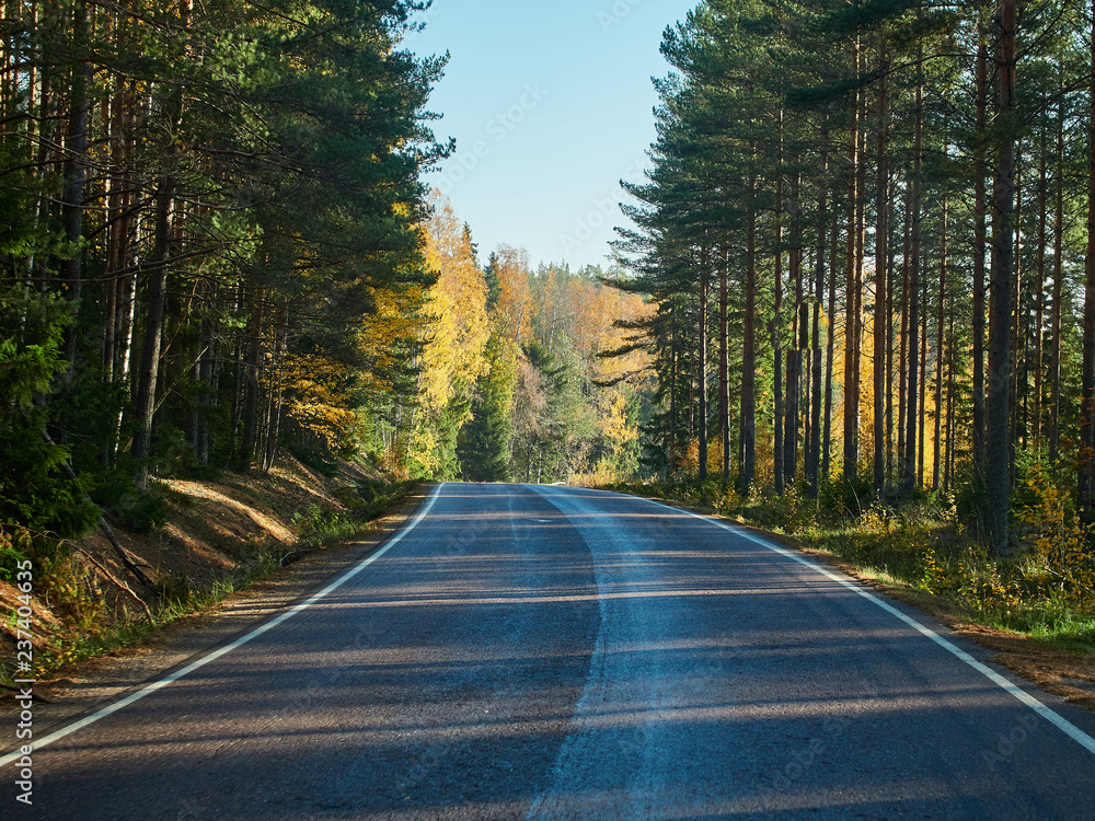 Obraz premium Fall colors and a beautiful autumn road in Finland.