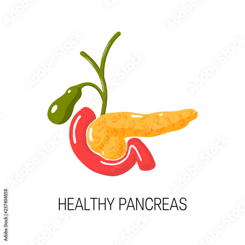 Healthy pancreas concept. Vector illustration