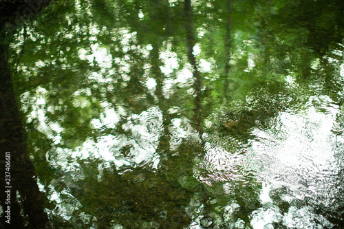 Leaves refected in a stream in Summer photo