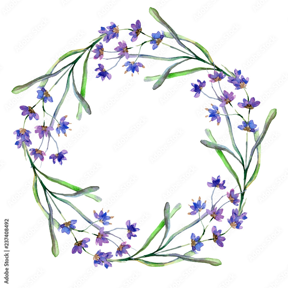 Purple lavender. Floral botanical flower. Watercolor background illustration set. Wreath frame border.
