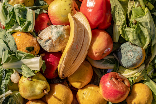 Rotting and moldy fruit and vegetables in a heap.