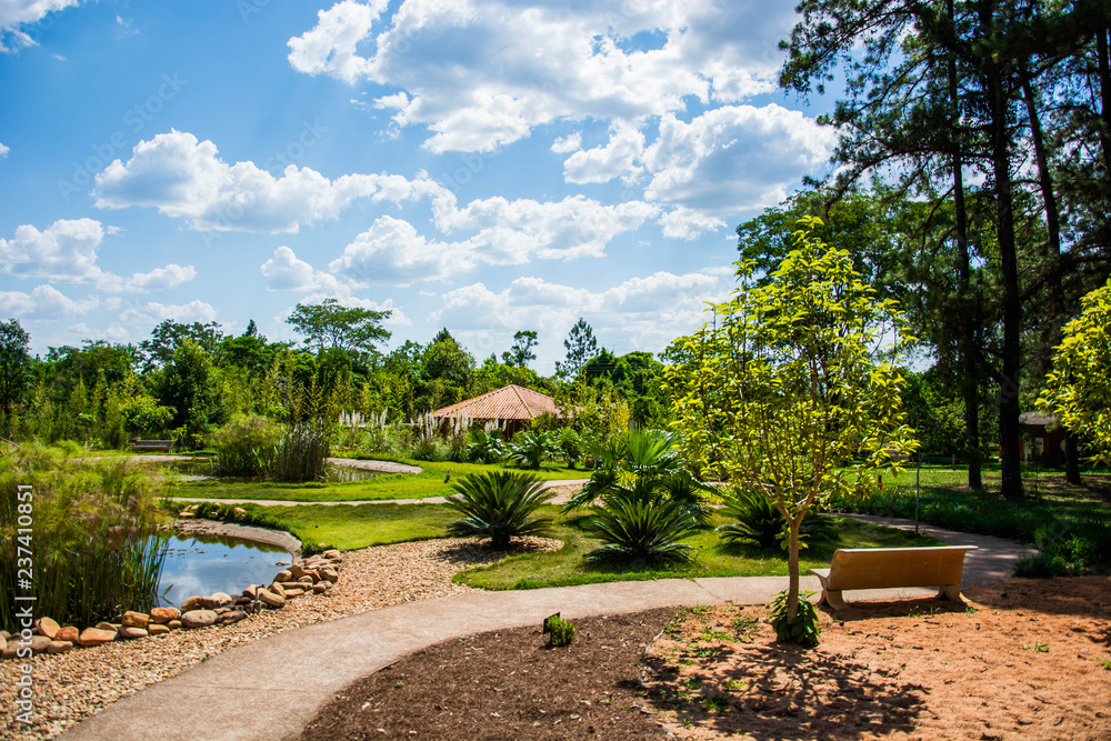 Botanical garden of Brasília in Brazil with trees and flowers
