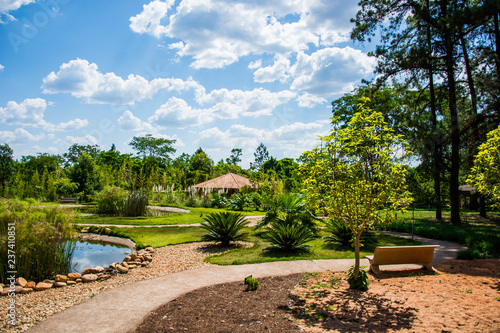 Obraz na płótnie Botanical garden of Brasília in Brazil with trees and flowers w salonie