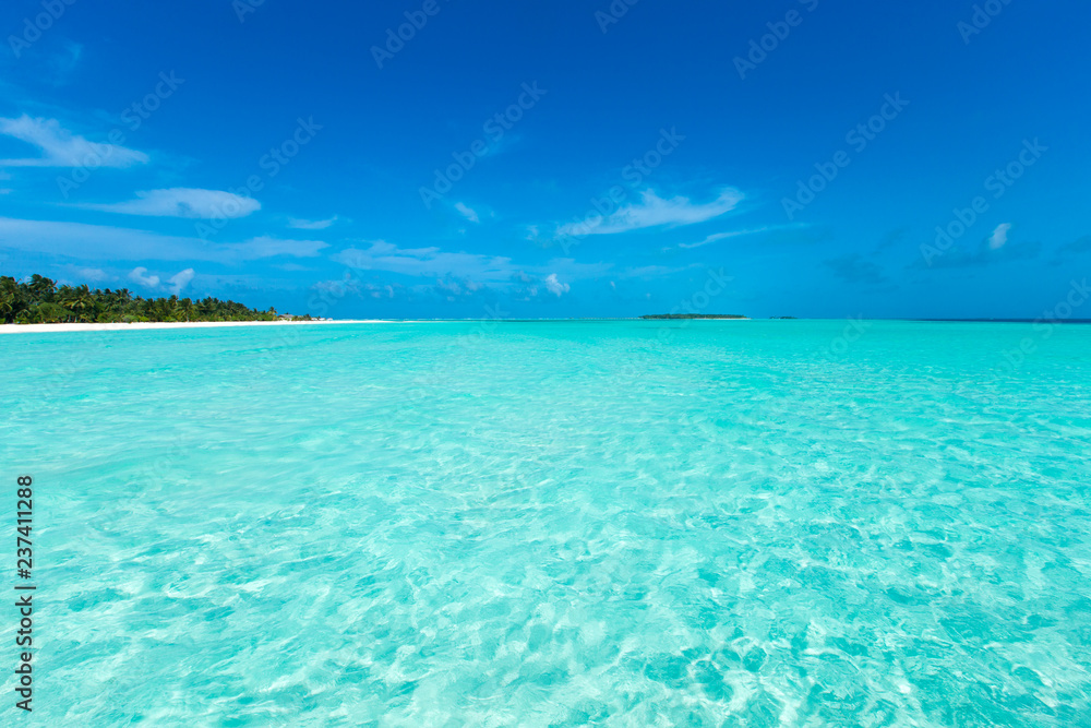 Fototapeta premium tropical beach in Maldives with few palm trees and blue lagoon