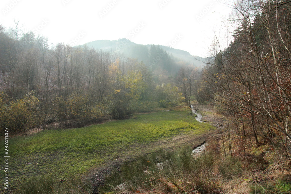 Ruisseau au barrage de la Rive