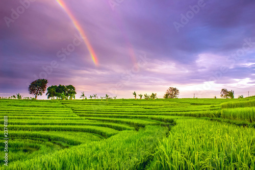 landscape with rainbow natural beauty of bengkulu utara indonesia with mountain barisan and green nature asia photo