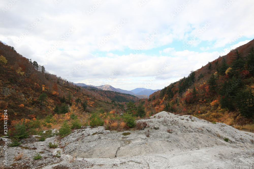 Fototapeta premium 川原毛地獄の風景（秋田県湯沢市）