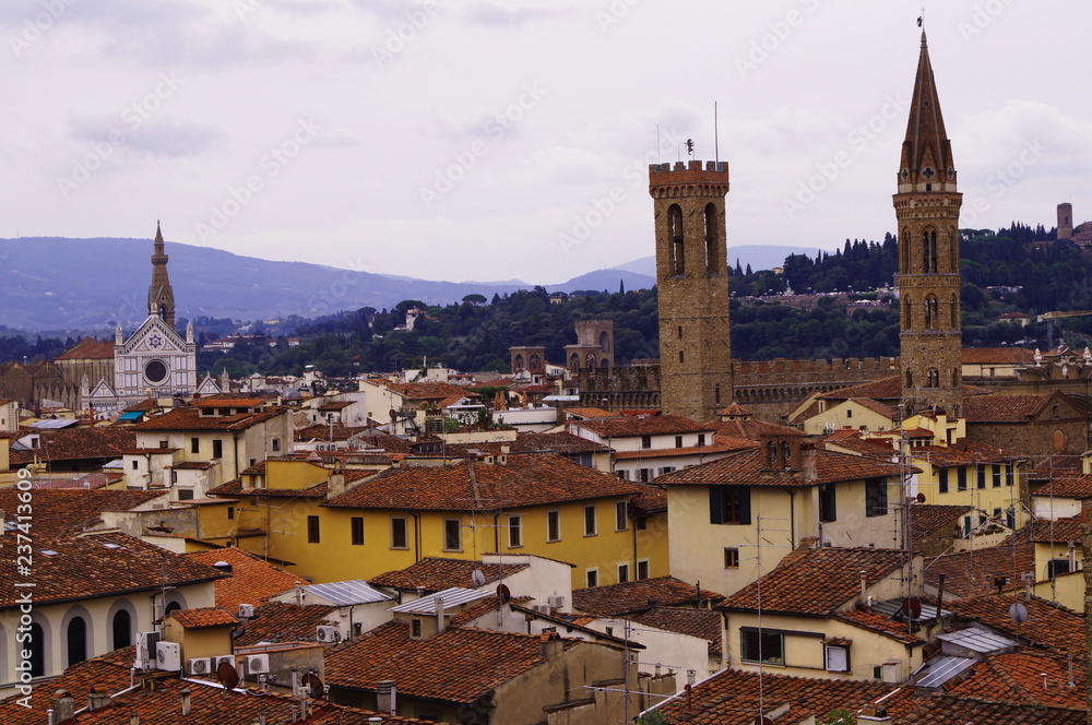 View of the center of Florence from the bell tower of Giotto, Italy