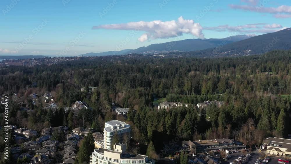 A perfect neighbourhood. Houses in suburb at Summer in the north America. Luxury houses with nice landscape. Aerial drone view. A perfect neighbourhood. Houses in suburb at Summer in the north America. Luxury houses with nice landscape. Aerial drone view.