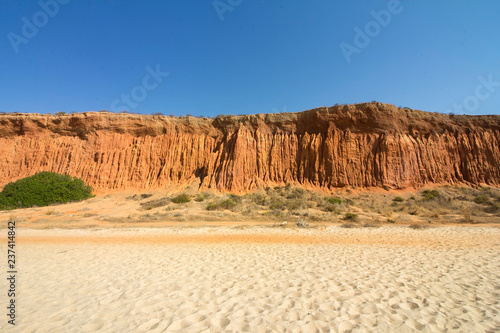 desert in wadi rum jordan