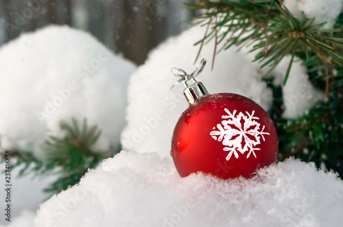 Red Christmas ball in snow on on the background of fir