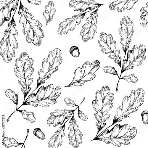 Seamless pattern with oak leaves. Hand drawn vector illustration