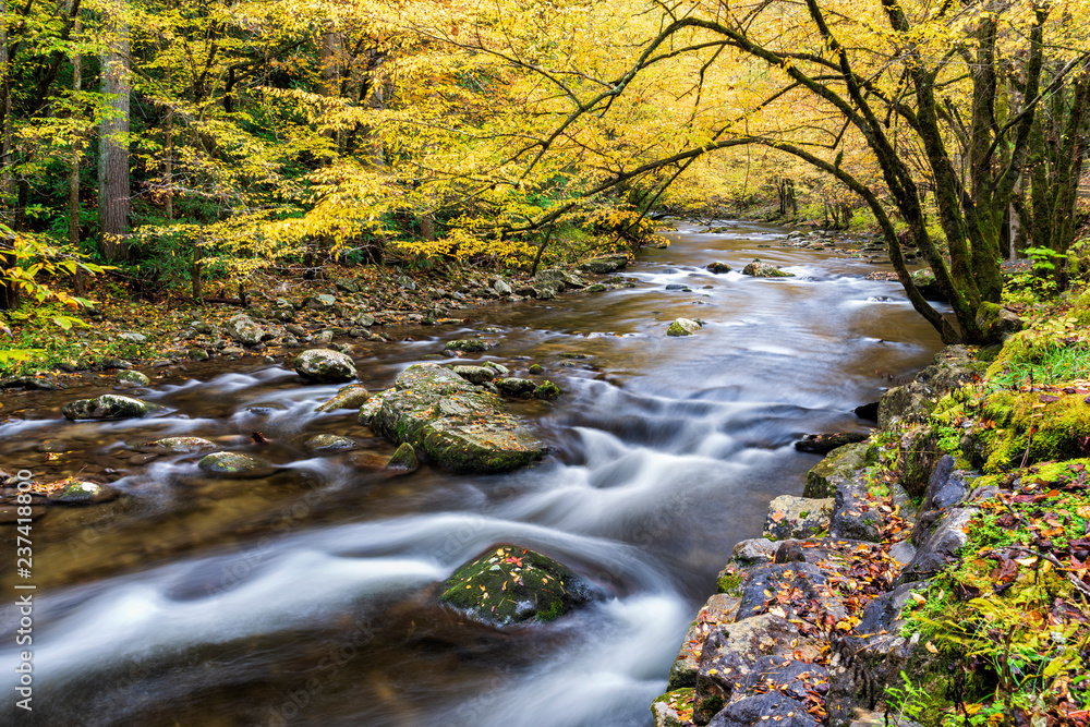 Smoky Mountain Stream in Autumn Colors