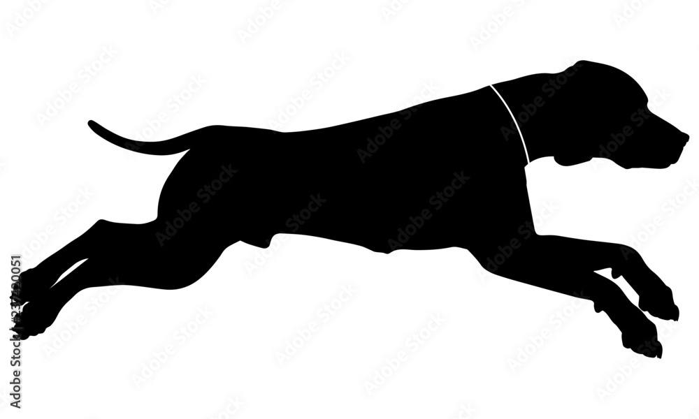 Running Jumping DOG silhouette