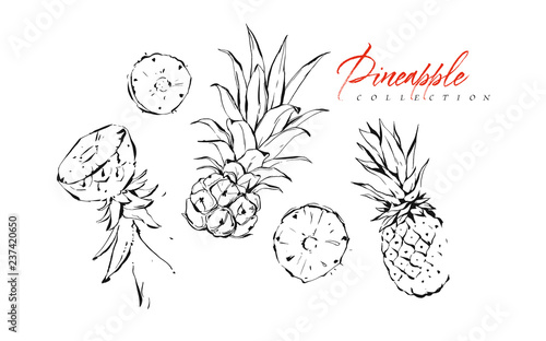 Hand drawn vector abstract exotic graphic ink textured tropical fruits pineapple illustrations collection set sketch drawing isolated on white background.Healthy lifestyle concept