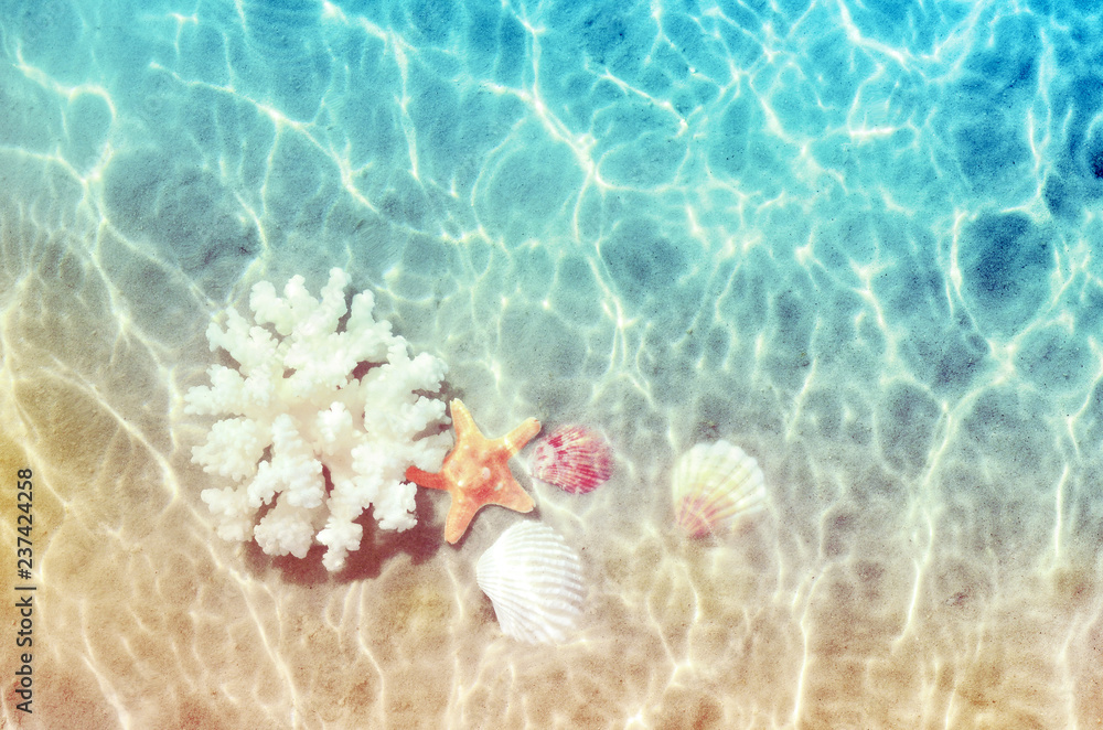 Wall Mural Seashells and sea coral on the summer beach in sea water