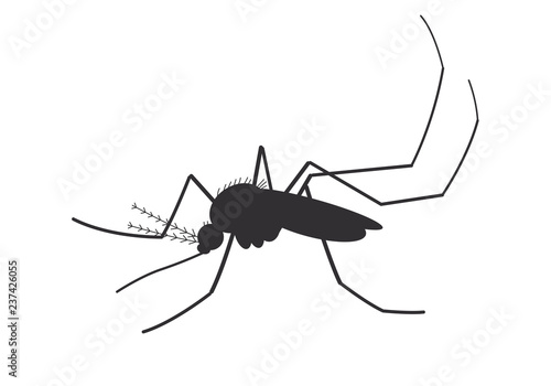 graphic black mosquito, vector
