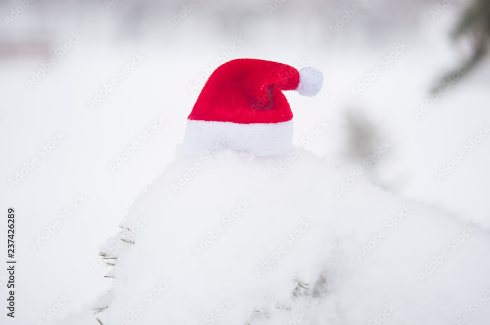 fir tree branch and Santa hat with snow fir tree branch and Santa hat with snow