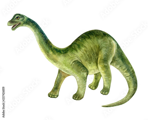 Diplodocus dinosaur. Hand painted dinosaurs isolated on white background. Predator animal of the prehistoric period. Illustration. Watercolor. Template. Hand drawing. Clipart. Close-up