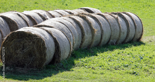Wallpaper Mural bales of hay rolled Torontodigital.ca
