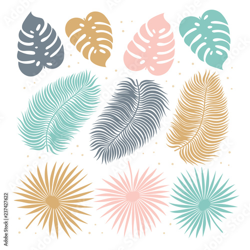 Tropical leaves set in pastel colors. Summer tropical elements. exotic palm l...