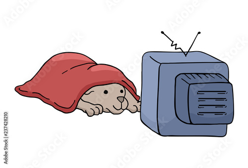 dog watching television