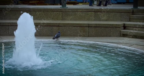 Pigeon at a fountain in Old Town Zagreb on a cloudy winter day