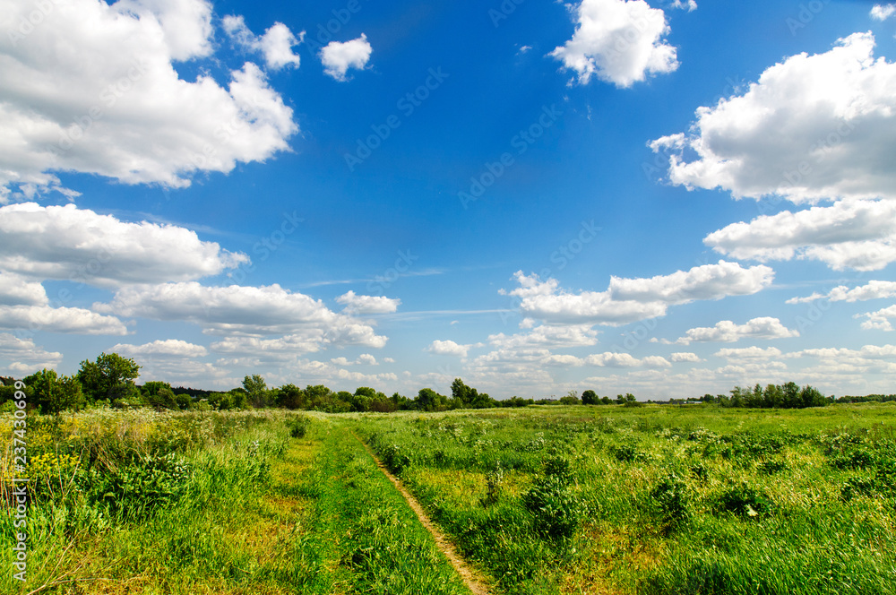 Moscow Region landscape in summer