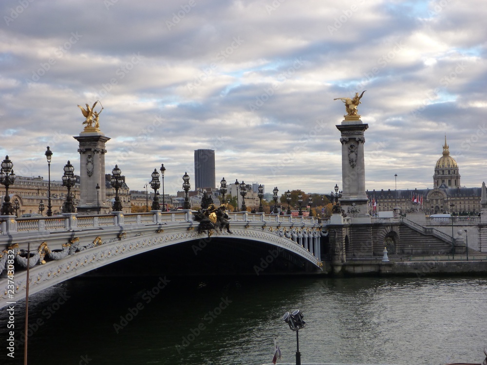 Pont Alexandre III, Paris, France (4)