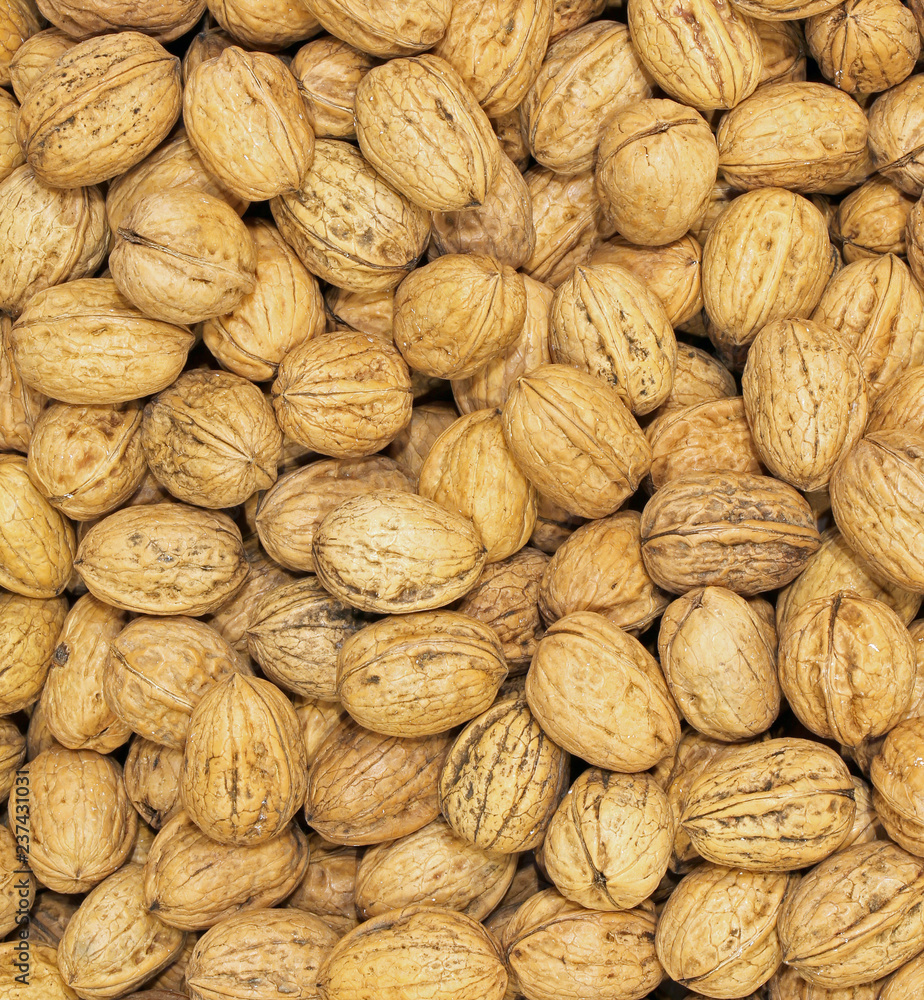 Background of nuts collected Background of nuts collected