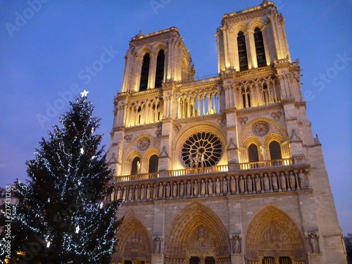Notre-Dame de Paris, France (3)