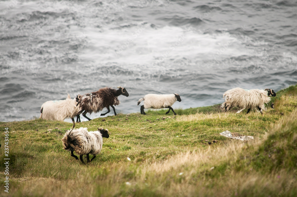Fototapeta premium The Land's End