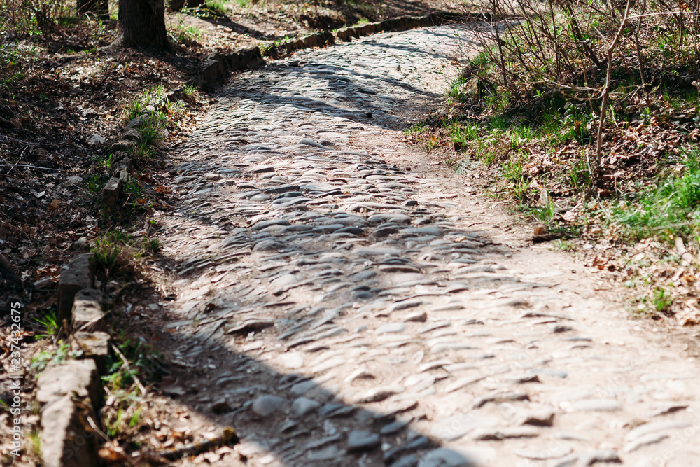 path stone paved in the Park, in forest path stone paved in the Park, in forest