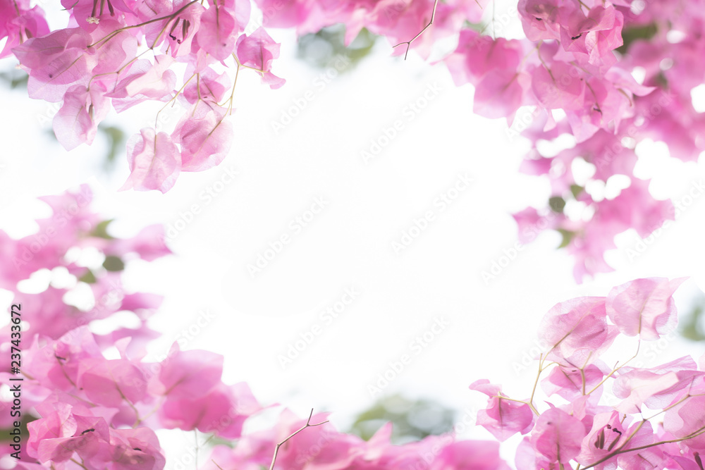 Obraz premium Flower abstract pastel background, Pink flowers in soft focus for background, wedding, valentine birthday card, with copy space for wording use relief, refreshment mood and tone concept