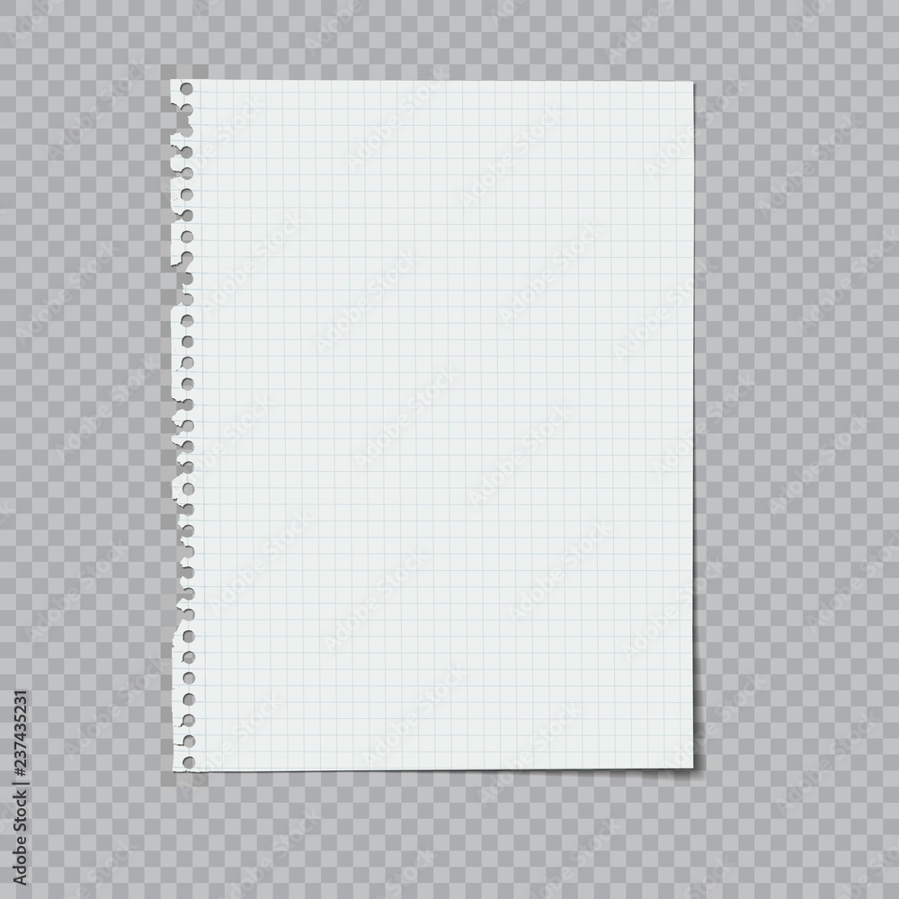 notebook paper ripped from a spiral binding vector illustration notebook paper ripped from a spiral binding vector illustration