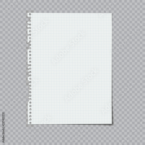notebook paper ripped from a spiral binding vector illustration