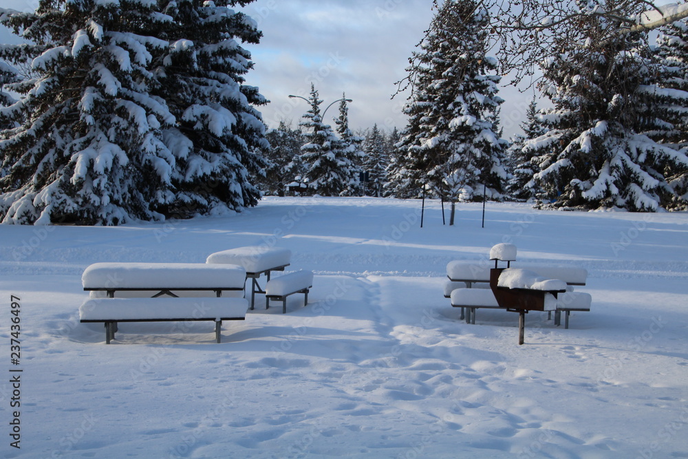 Snowy Picnic Site, Gold Bar Park, Edmonton, Alberta