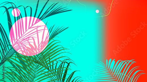 Contrast design tropical palm tree, template bakground