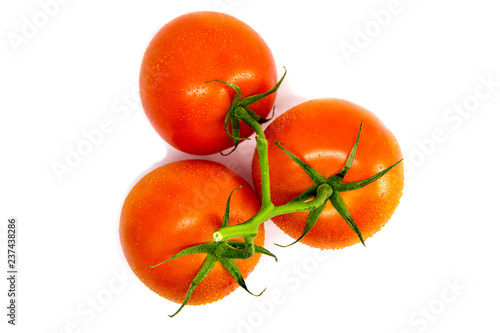 red tomatoes on a branch on a white background photo